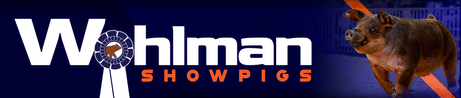 Wohlman Showpigs